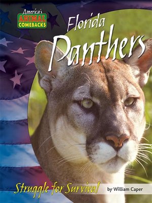 cover image of Florida Panthers